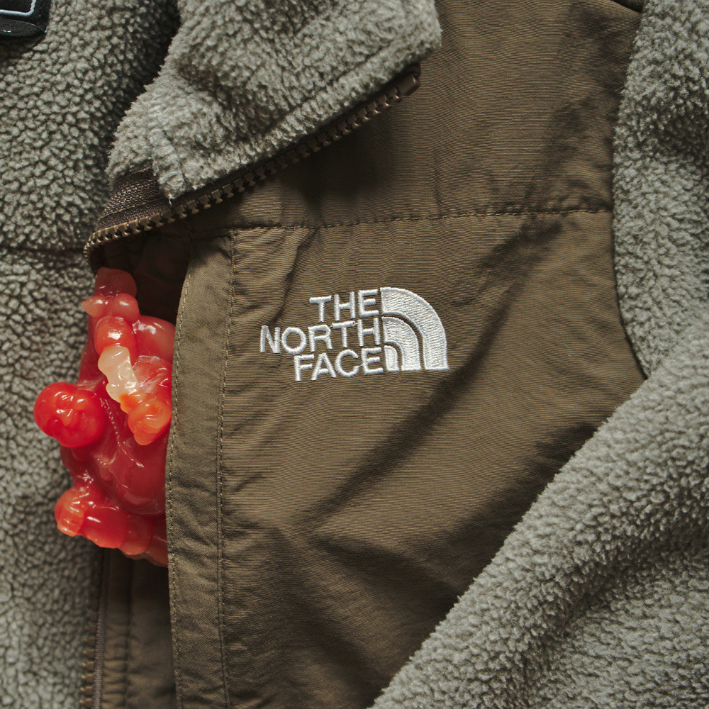 The North Face XS Denali Jacket